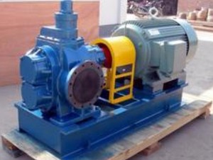 BW高粘度保温泵