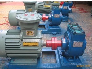 BW不锈钢保温齿轮泵