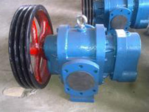 LCX不锈钢罗茨泵