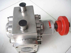 RCBF不锈钢保温泵