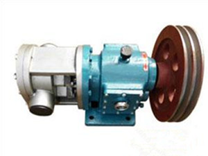 LC-B不锈钢罗茨泵