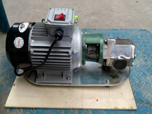 WCBF微型不锈钢齿轮油泵